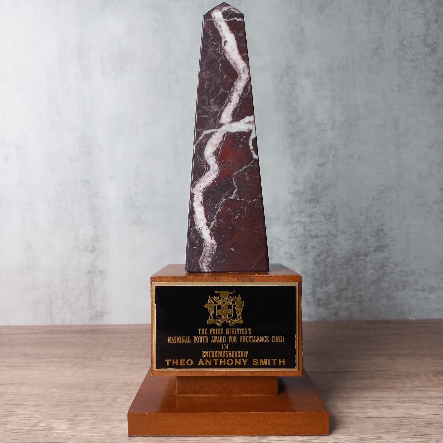 The_Prime_Minister_National_Youth_Award_of_Excellence_-_Entrepreneurship_-_2013